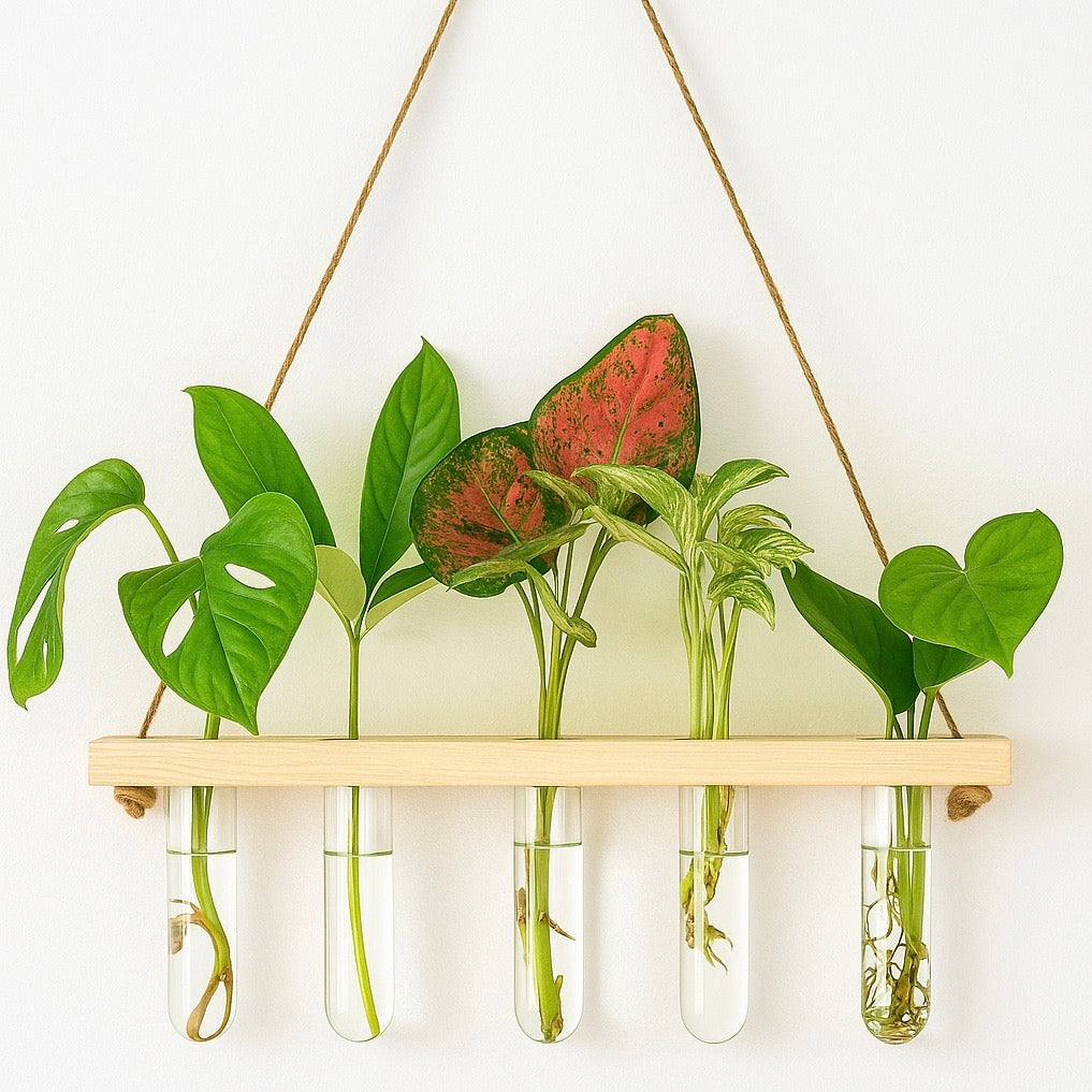 Wall Hanging Wooden Planter