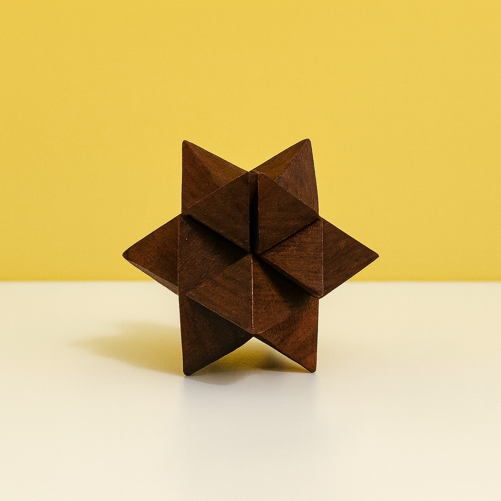 6 in 1 Wooden IQ Puzzle Set
